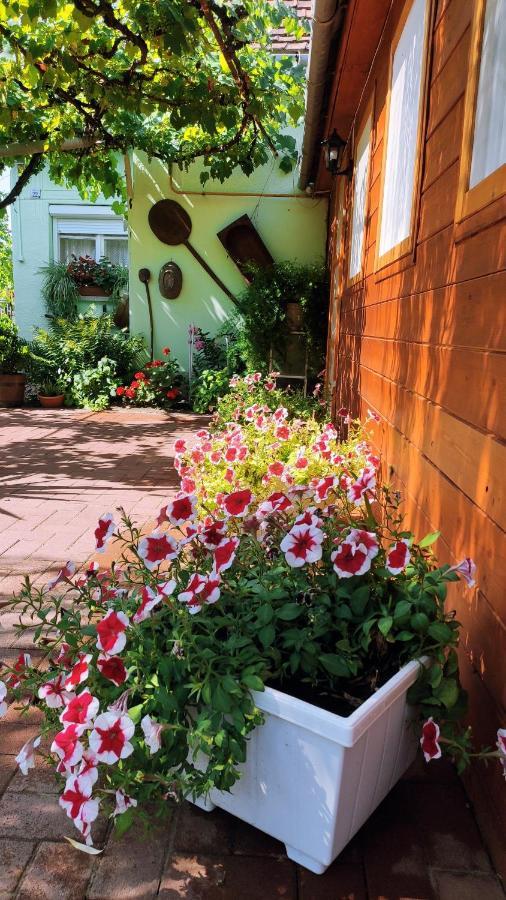 Opusztaszeri Mozes Vendeghaz Hotel Екстериор снимка