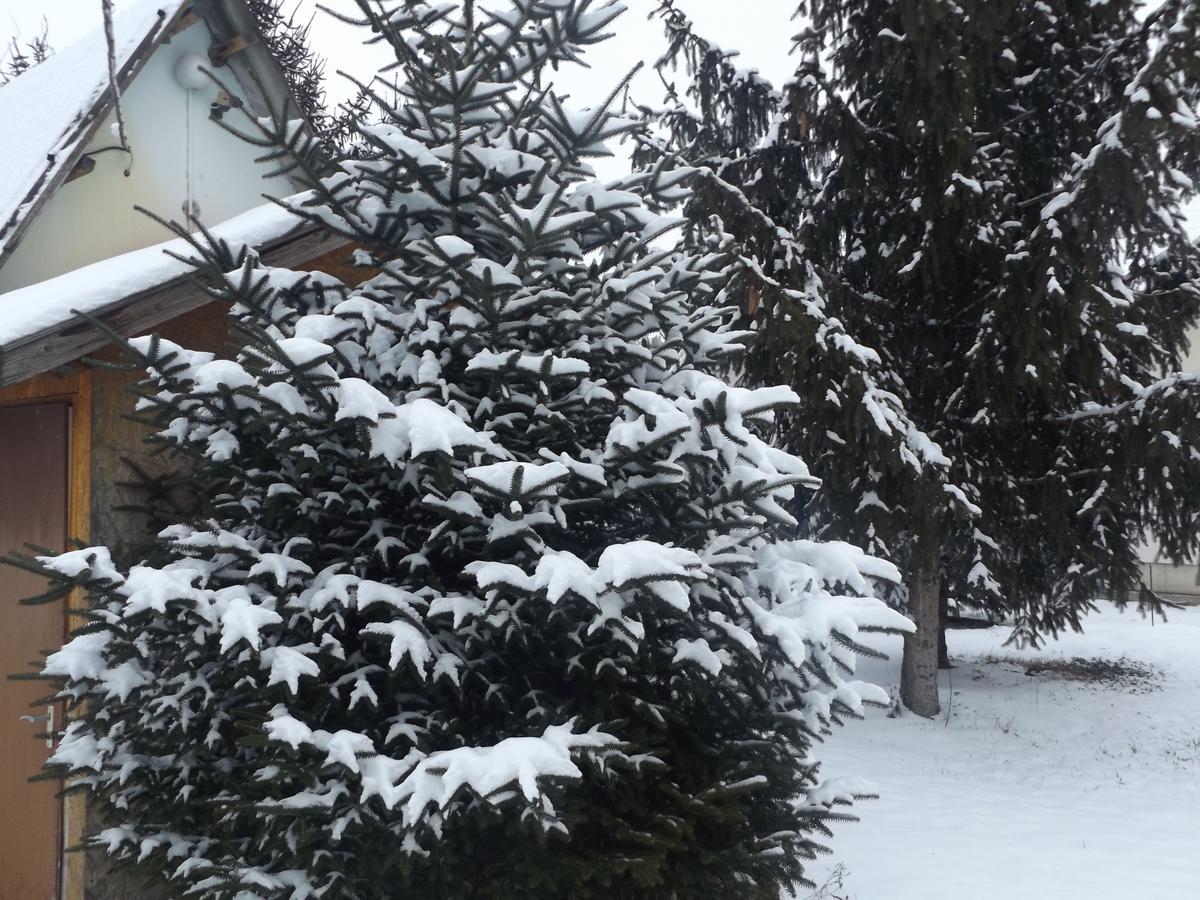 Opusztaszeri Mozes Vendeghaz Hotel Екстериор снимка